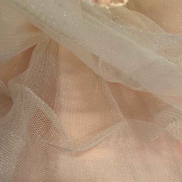 Janie & Jack Petal Pink Shimmery Double Tulle Skirt - Picture 5 of 6